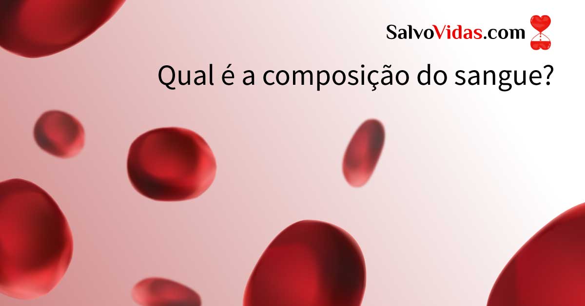 Qual a composição do sangue? - SalvoVidas.com